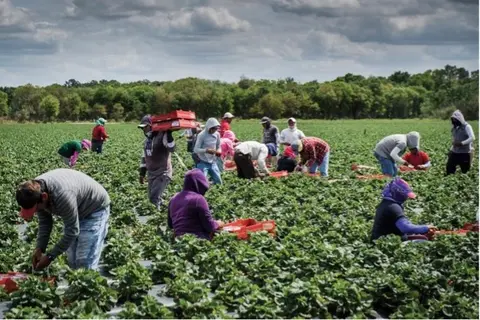 Once eligible, around 200 long-term Seasonal workers will soon be able to bring their immediate family members to Australia.