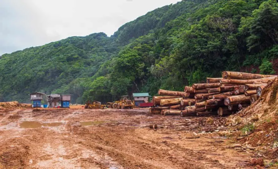 It is understood the male victim had an argument with the suspects on New Year’s Day at a logging camp in Rennell which led to physical altercation, the victim left soon after.