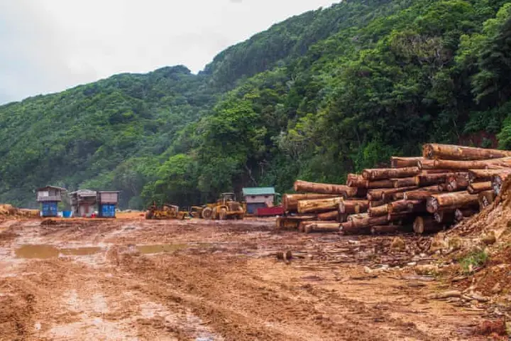 It is understood the male victim had an argument with the suspects on New Year’s Day at a logging camp in Rennell which led to physical altercation, the victim left soon after.