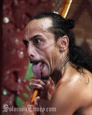 A range of heritage and contemporary art forms are represented including theatre, weaving, music, literature, visual arts, carving and performing arts including kapa haka and contemporary dance.