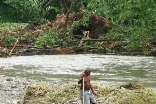 Fred searching for food as flood waters slowly subsides.