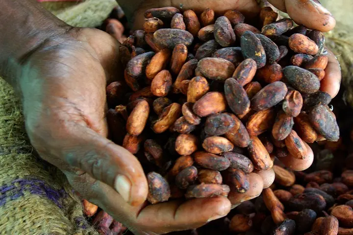 The primary objective of the ESP is to assist the productive sector stakeholders to maintain productive output at all levels of the production chain.