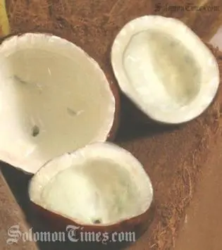 "The high demand in the international market is really the main driving factor why there is now a high price of copra," said an economist at the CBSI.