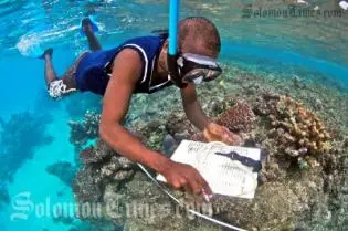 TDA marine monitor Bobbi Fio conducting a Reef Check survey on Tetepare Island.