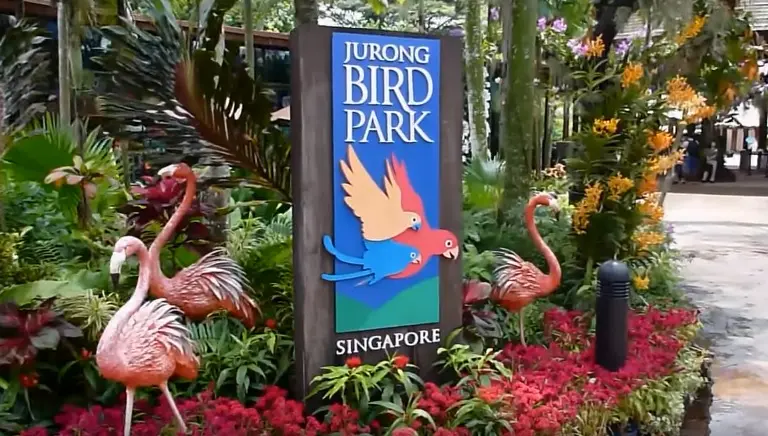 Jurong Bird Park is a world-famous bird zoo where there are specimens of magnificent bird life from around the world.