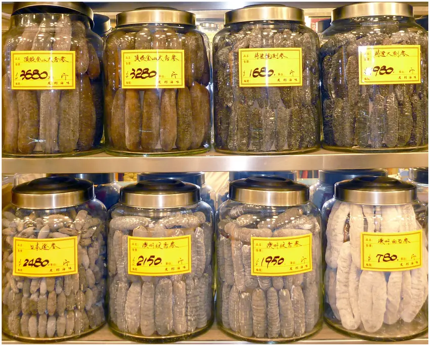 High value tropical beche-de-mer on sale in jars in Hong Kong.